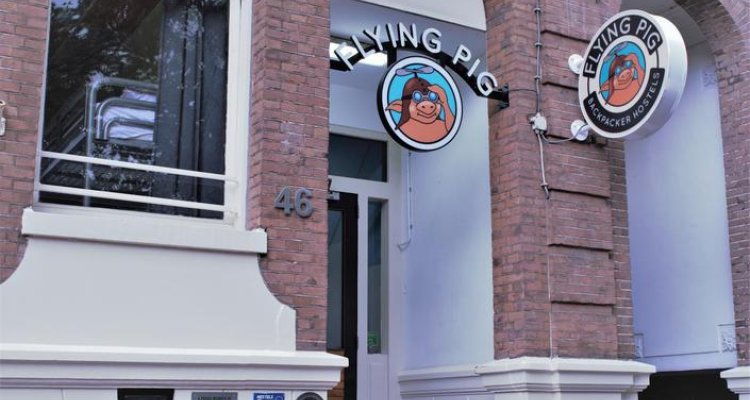 The Flying Pig Uptown Hostel