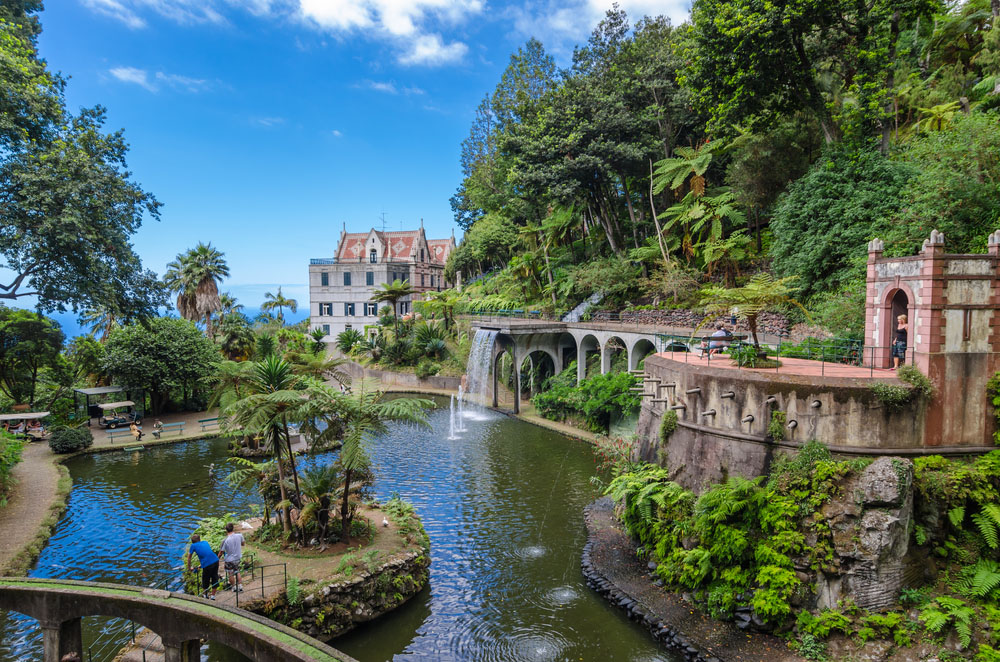 Madeira Insula Florilor 2023