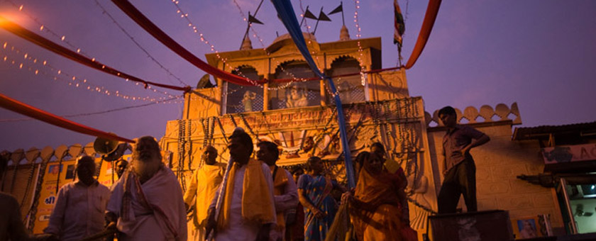 Discover Taj & Tigers on Holi Festival India - martie 2021