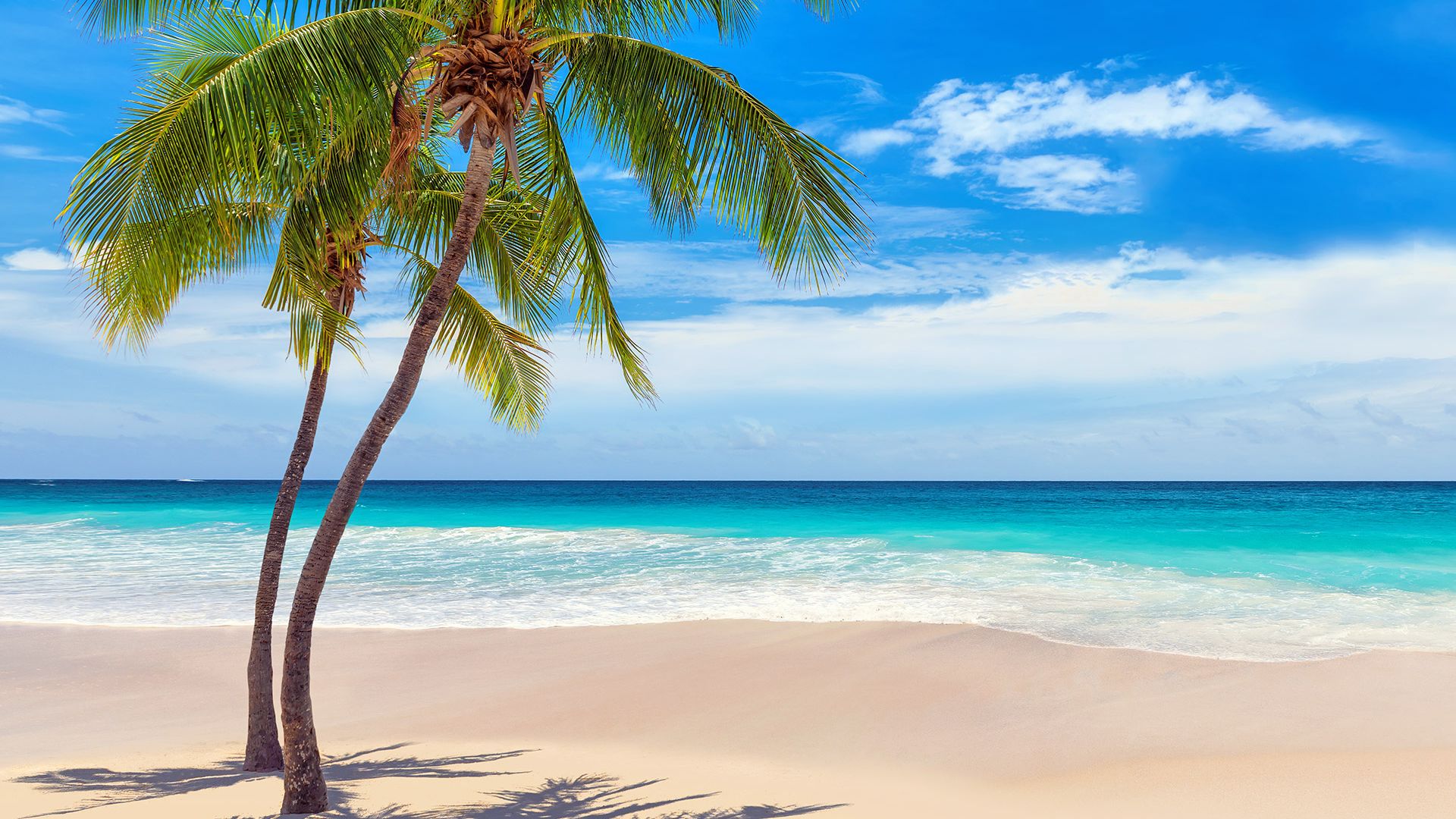 Revelion 2023 - Sejur plaja Punta Cana, Republica Dominicana, 12 zile