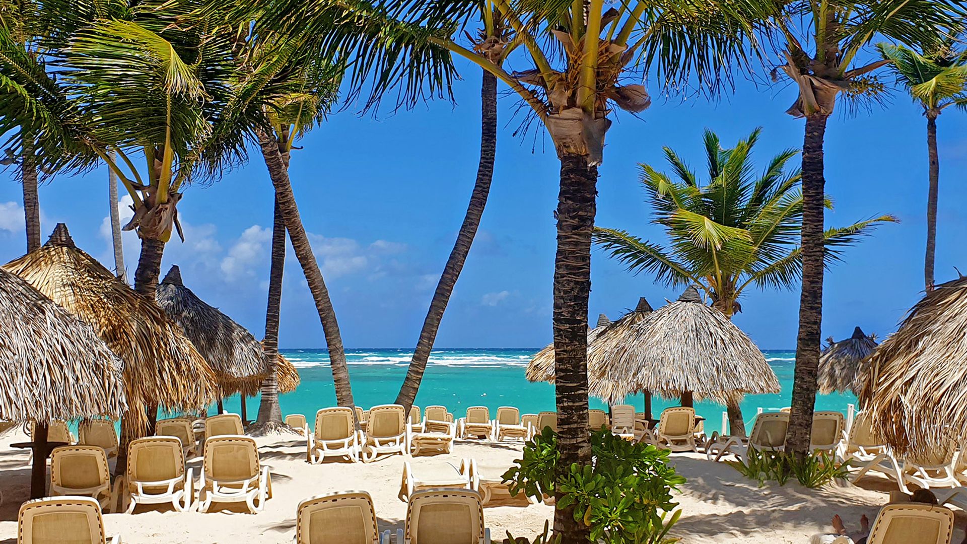 Revelion 2023 - Sejur plaja La Romana & Punta Cana, Republica Dominicana, 12 zile