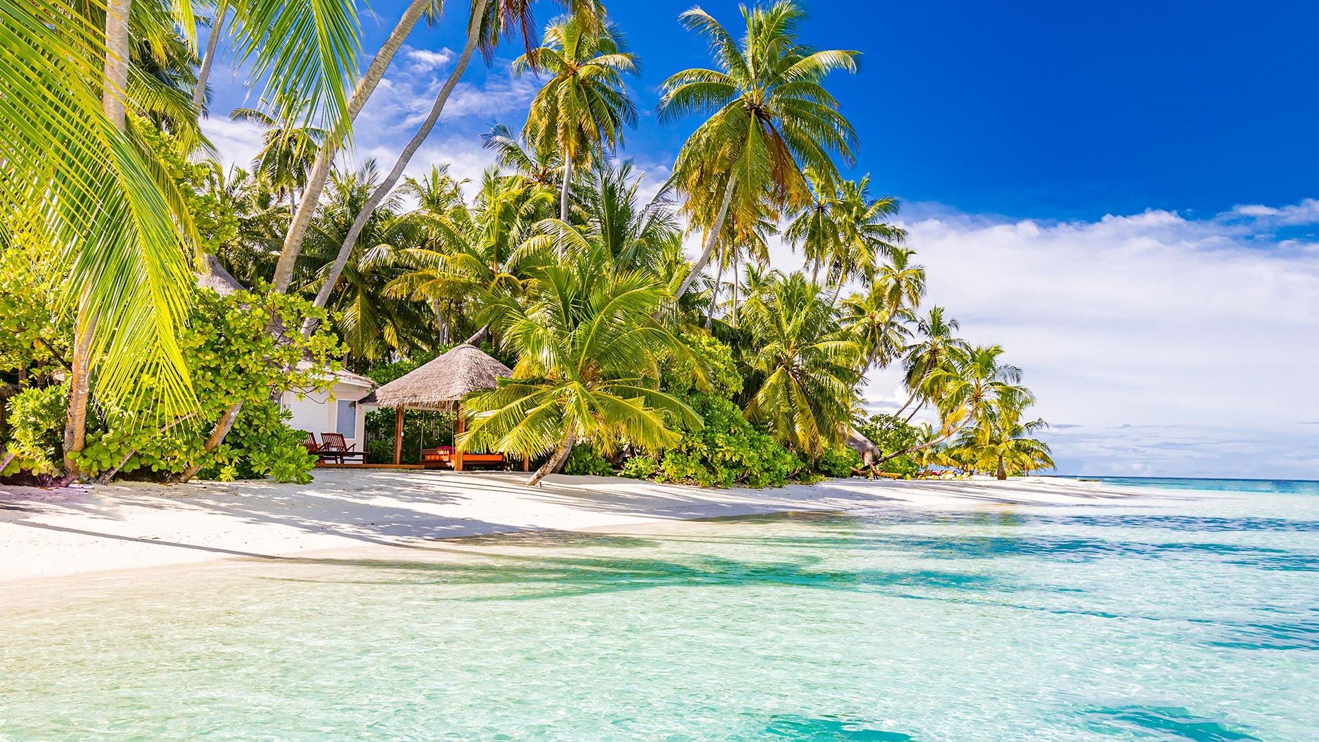 Sejur plaja Maldive, 10 zile - august 2022
