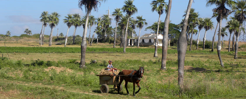 Discover Cuba - august 2020 - cu Yulicary Sarracent - ultimul loc in partaj