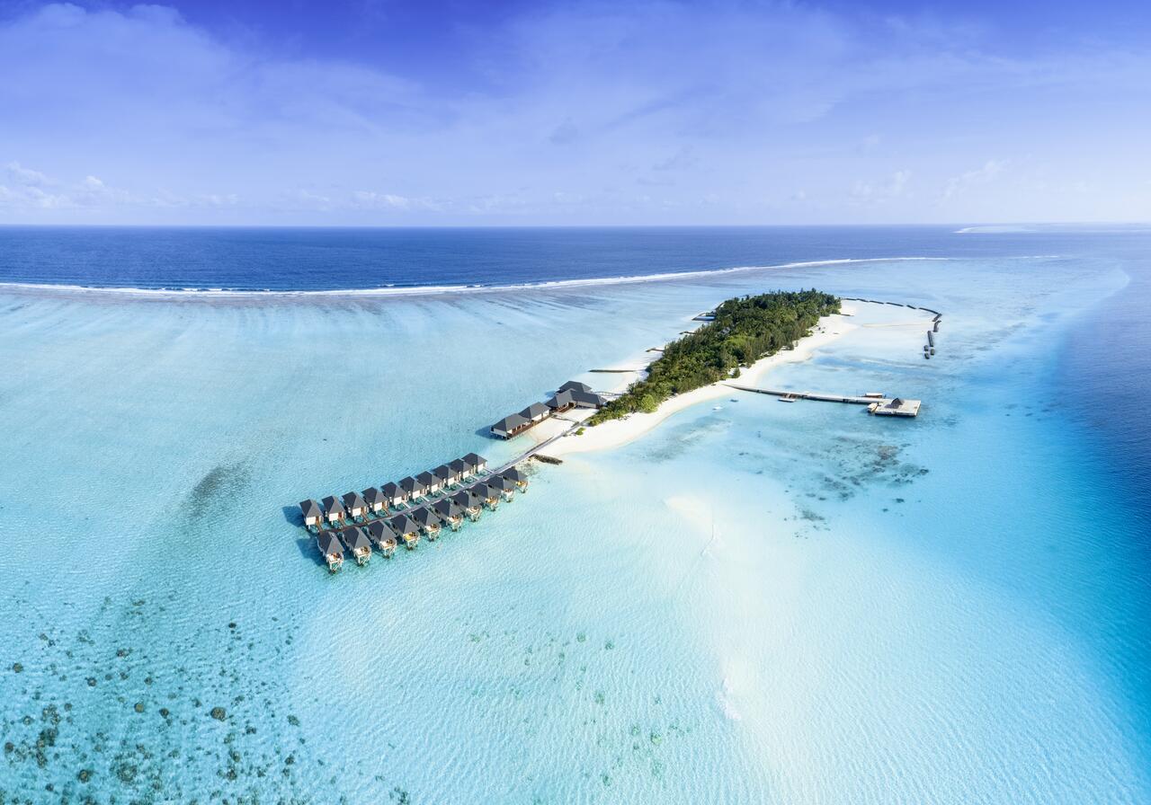 Summer white maldives описание