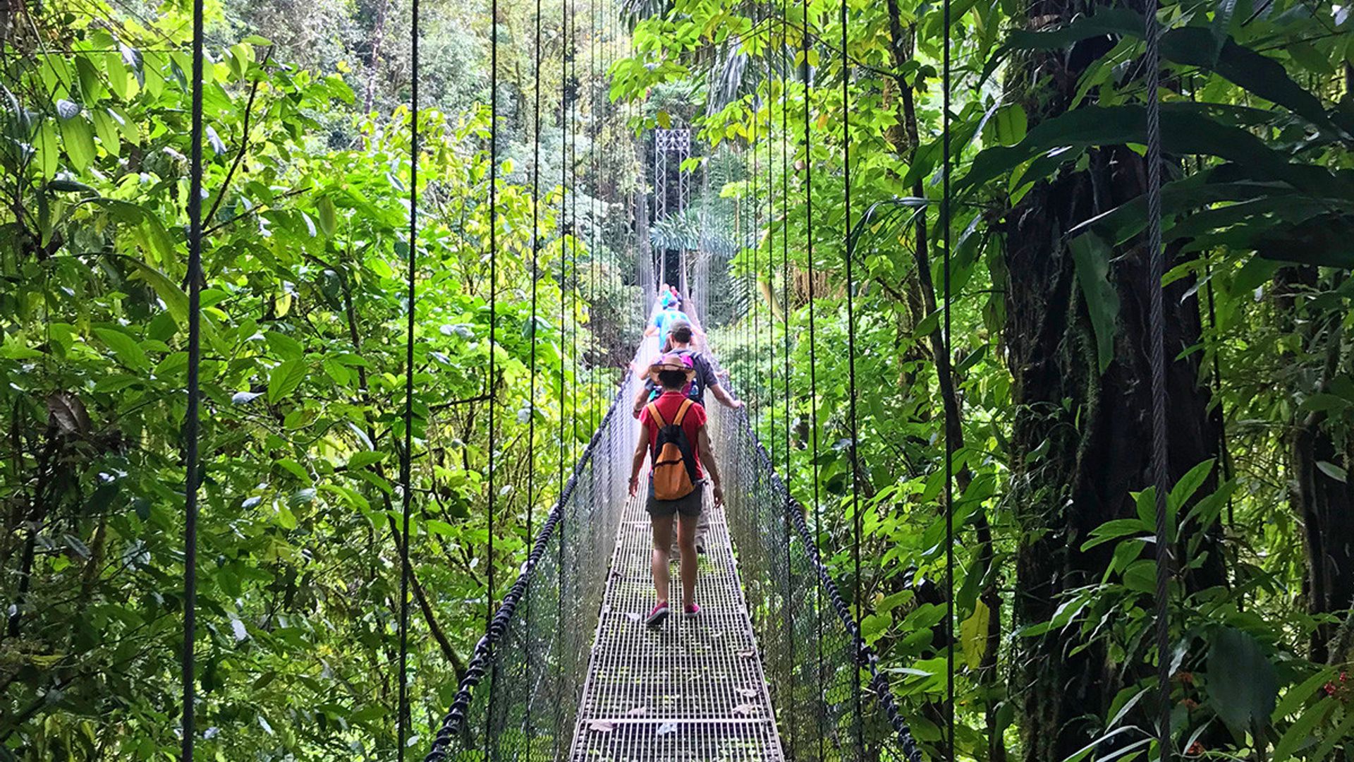 Share a Trip - Circuit Costa Rica, 9 zile