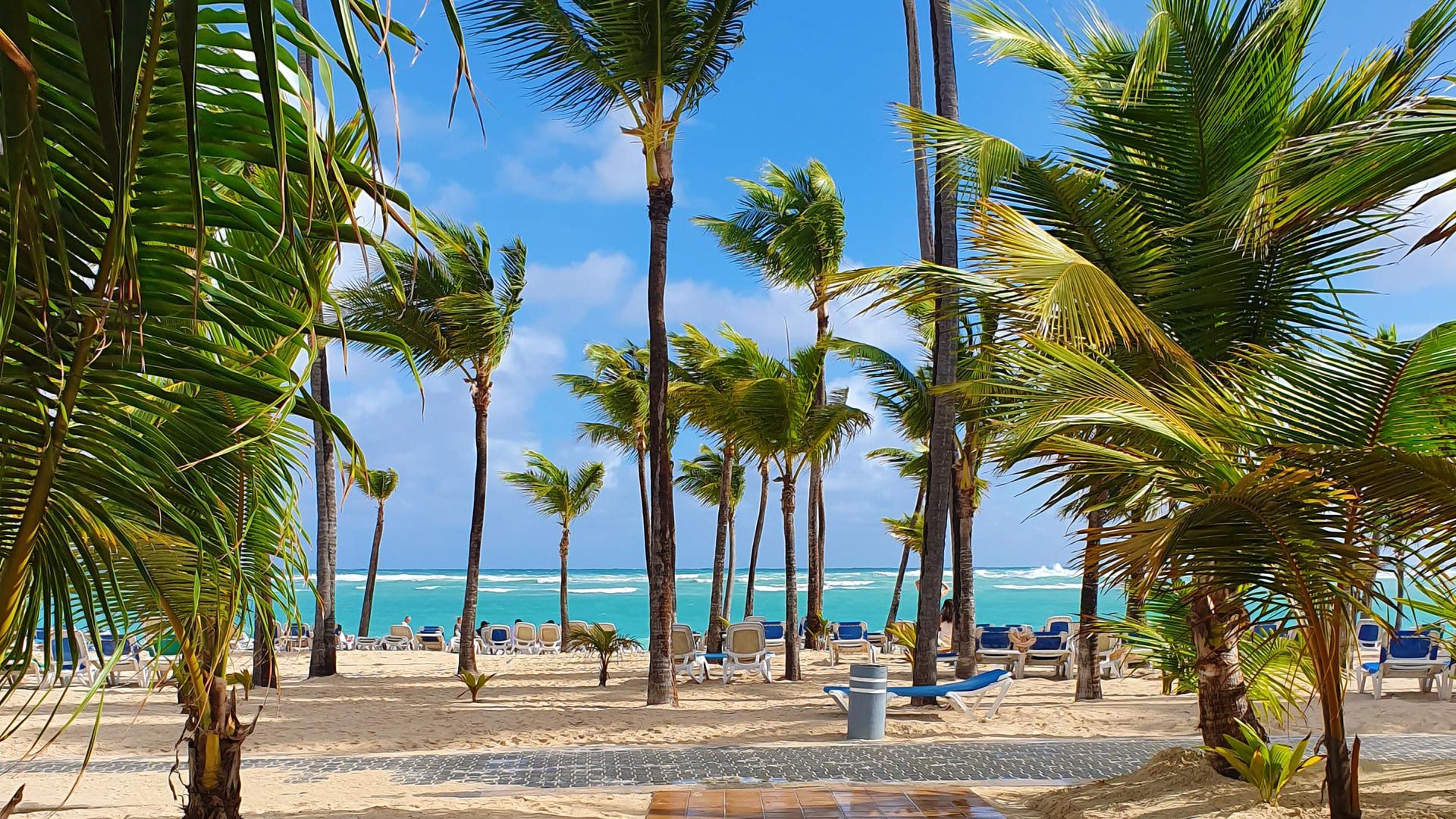 Sejur plaja La Romana & Punta Cana, Republica Dominicana, 11 zile - mai 2022