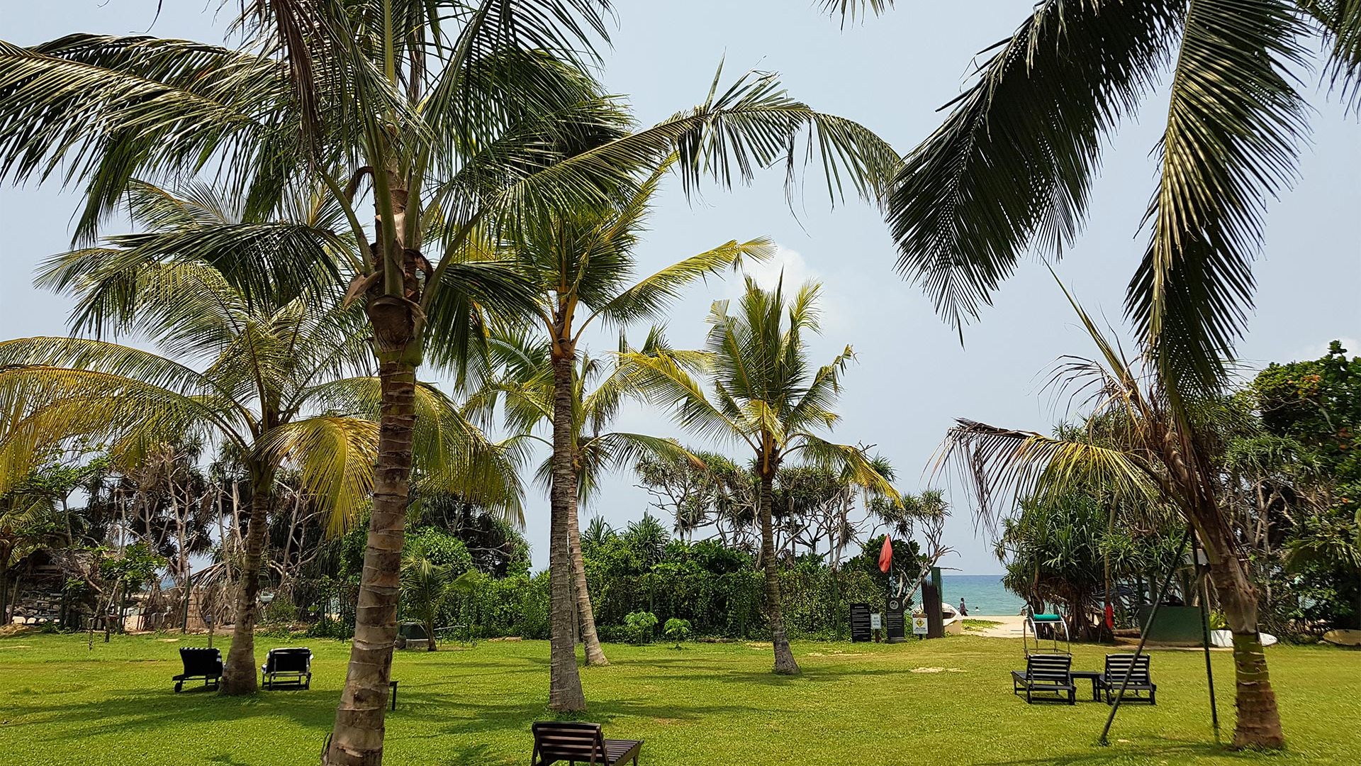 Sejur plaja Sri Lanka, 10 zile