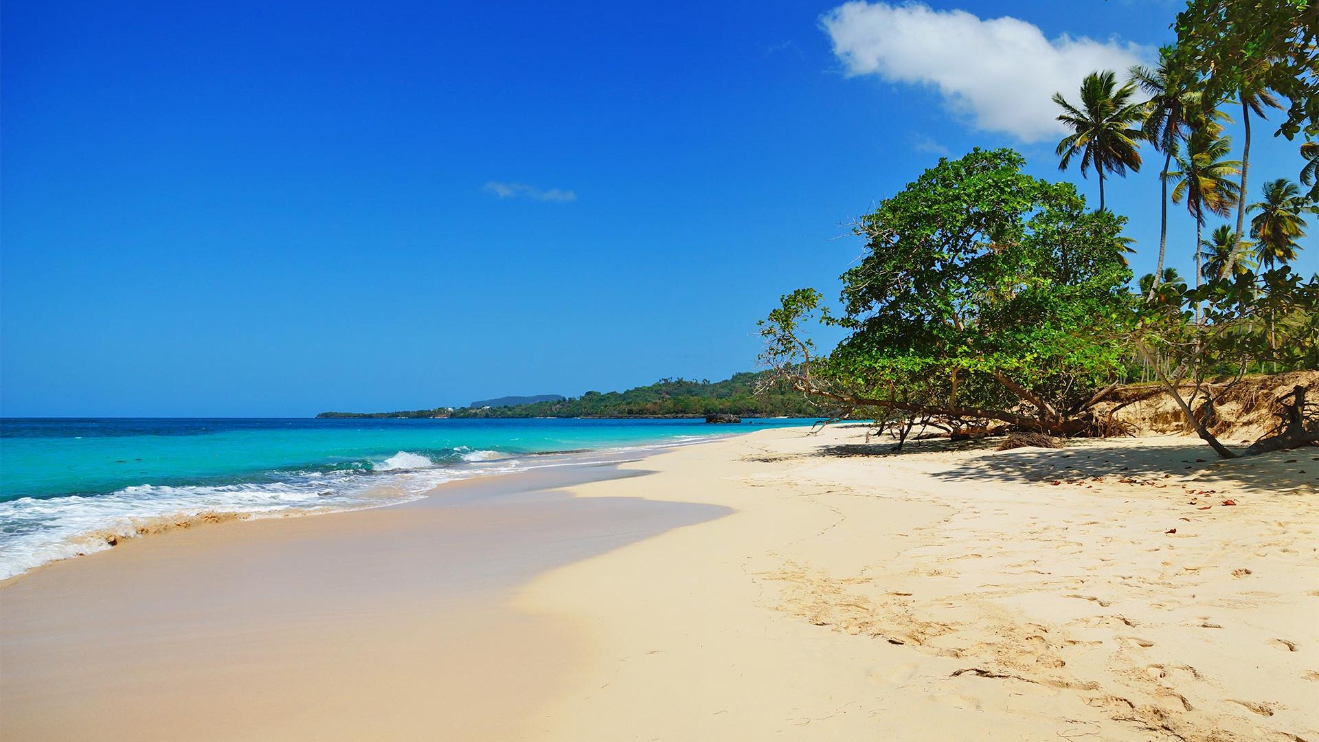 Best Deal TravelHubX - Sejur Samana & plaja Punta Cana, 11 zile - 04 Ianuarie 2023