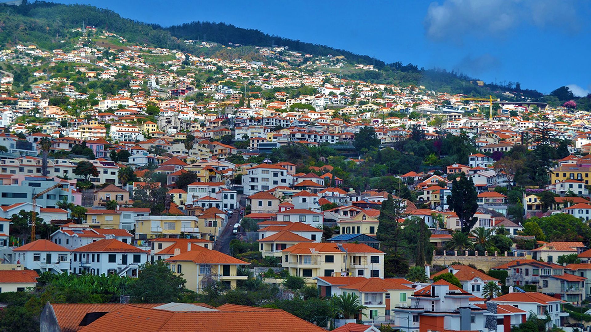 Craciun 2021 - Sejur Charter Madeira, 9 zile