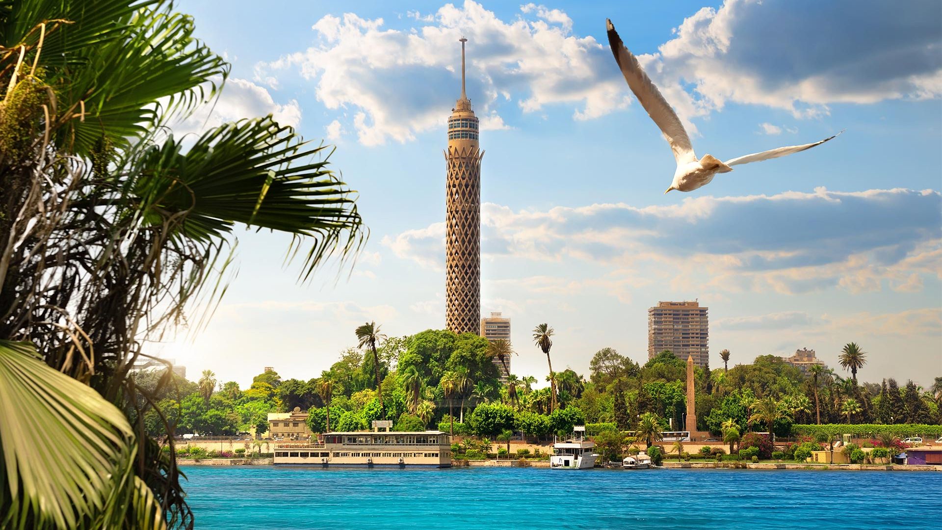 Circuit de grup - Discover Cairo & Croaziera pe Nil, 11 zile - 26 februarie 2022