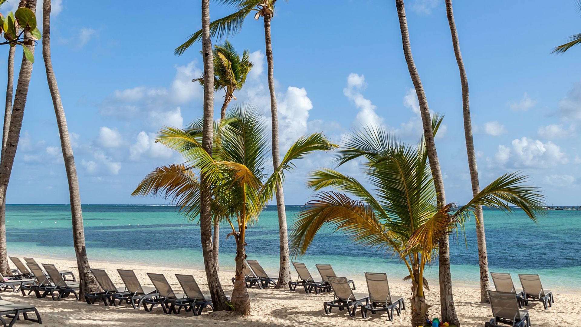 Sejur plaja Punta Cana, Republica Dominicana 9 zile - iunie 2023