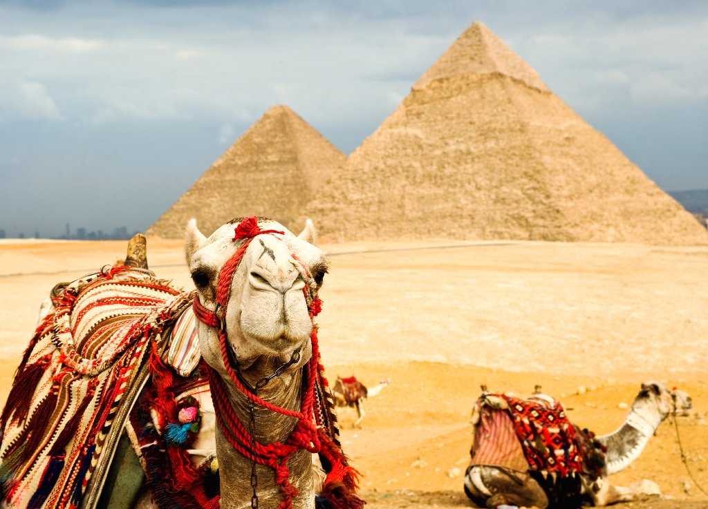 EGIPT 2021 - Cairo si Marea Rosie