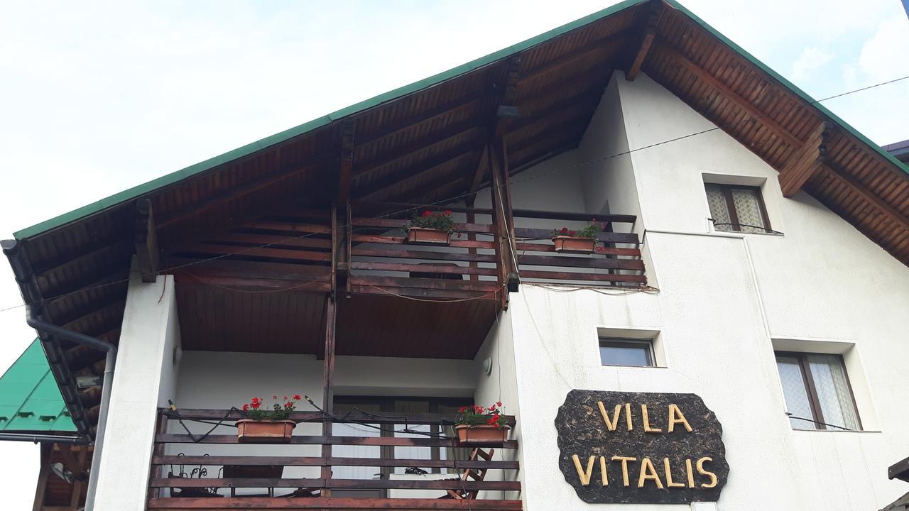Vila Vitalis