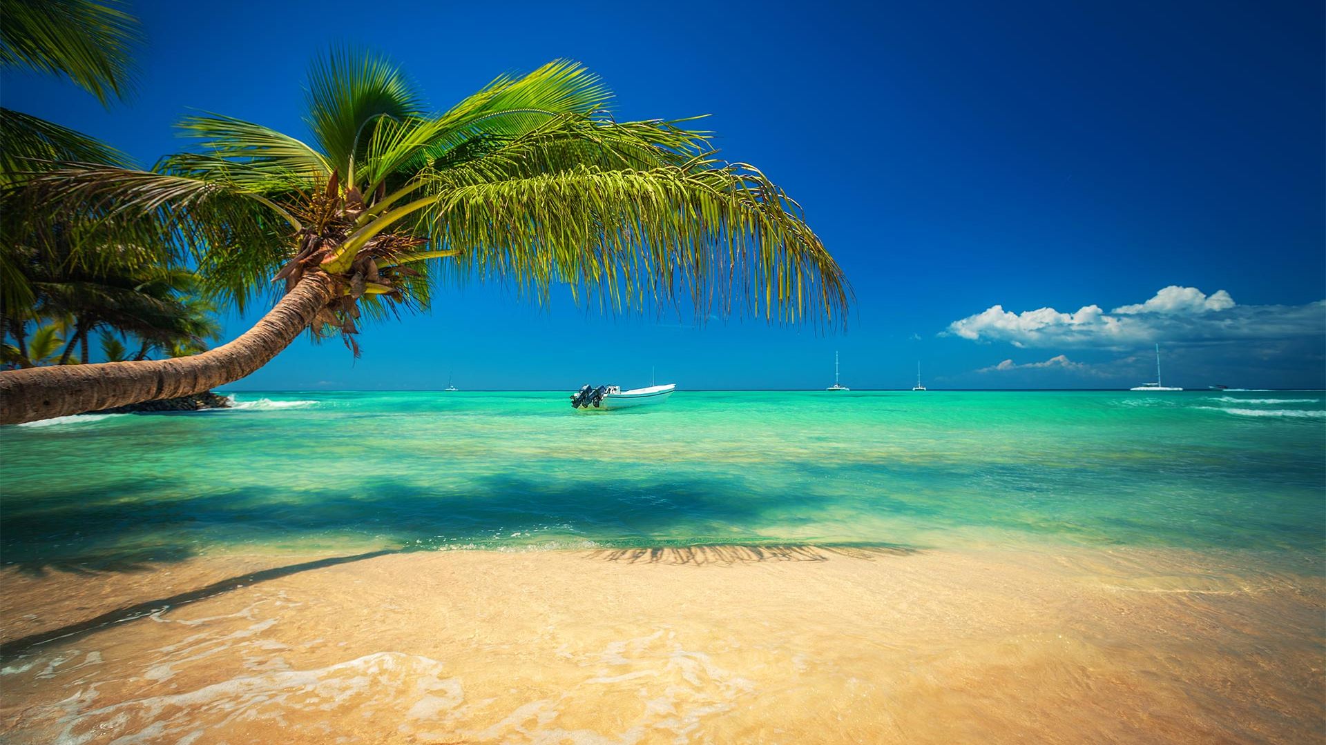 Sejur plaja Punta Cana, 9 zile - 24 iunie 2023
