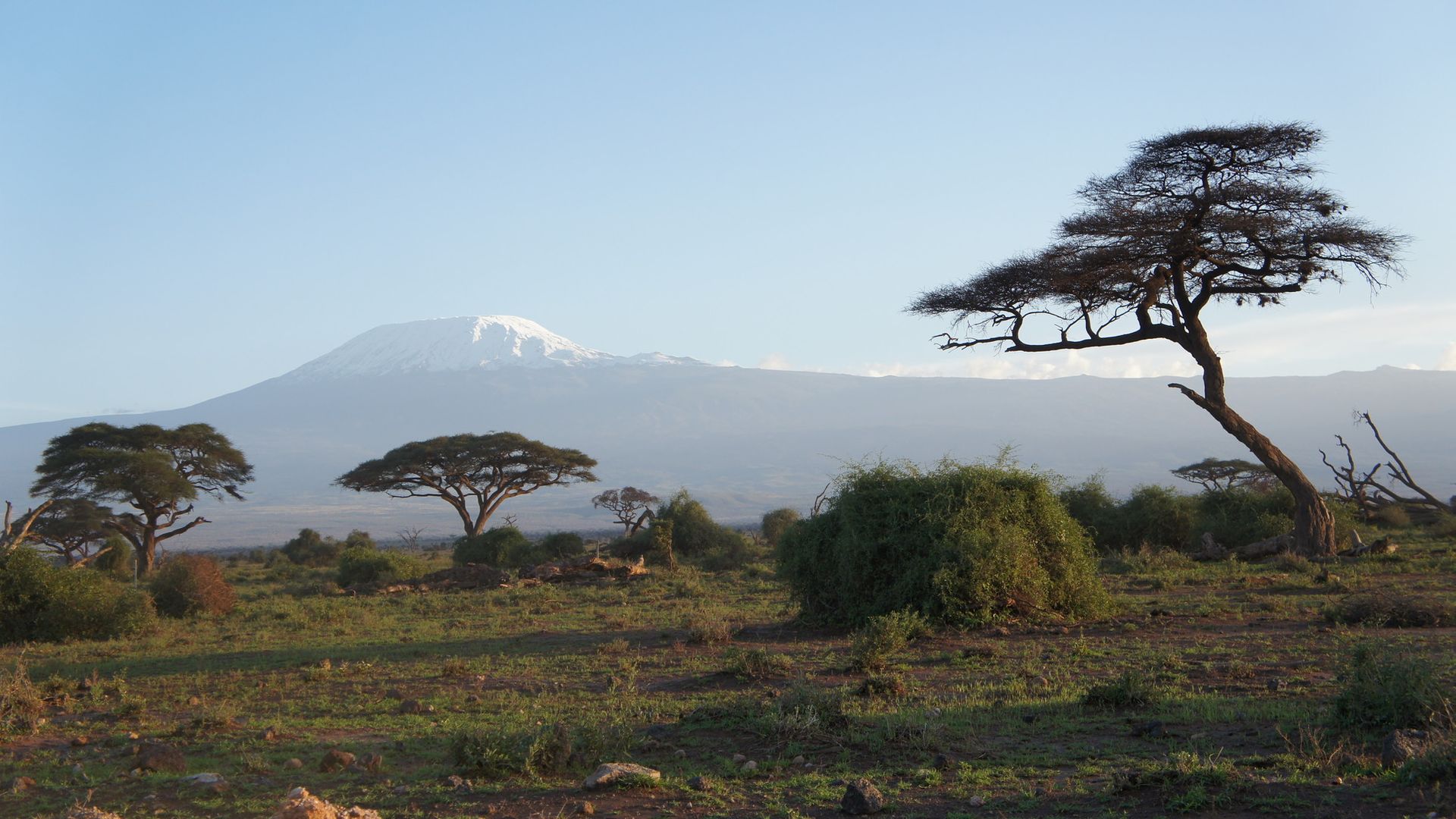 Share a Trip - Safari & plaja Kenya, 9 zile - ianuarie 2022
