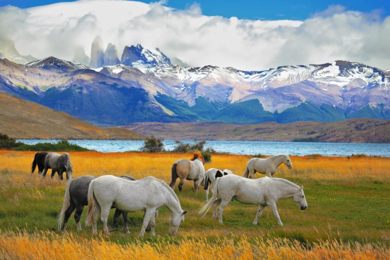 Chile - marele circuit: Deșertul Atacama, Patagonia & Insula Paștelui
