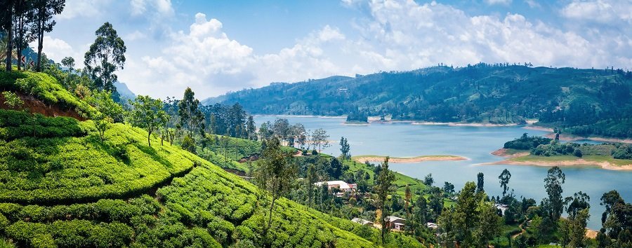 SRI LANKA 2023 - O destinatie tropicala fascinanta