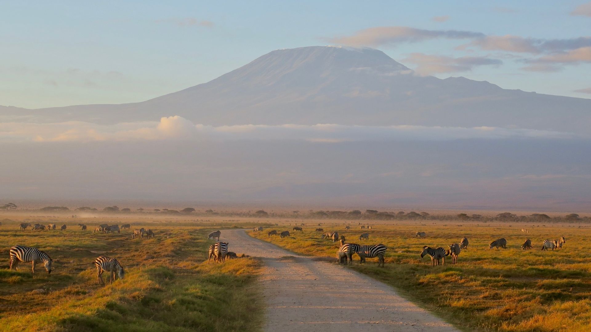 Share a Trip - Safari Kenya, 8 zile