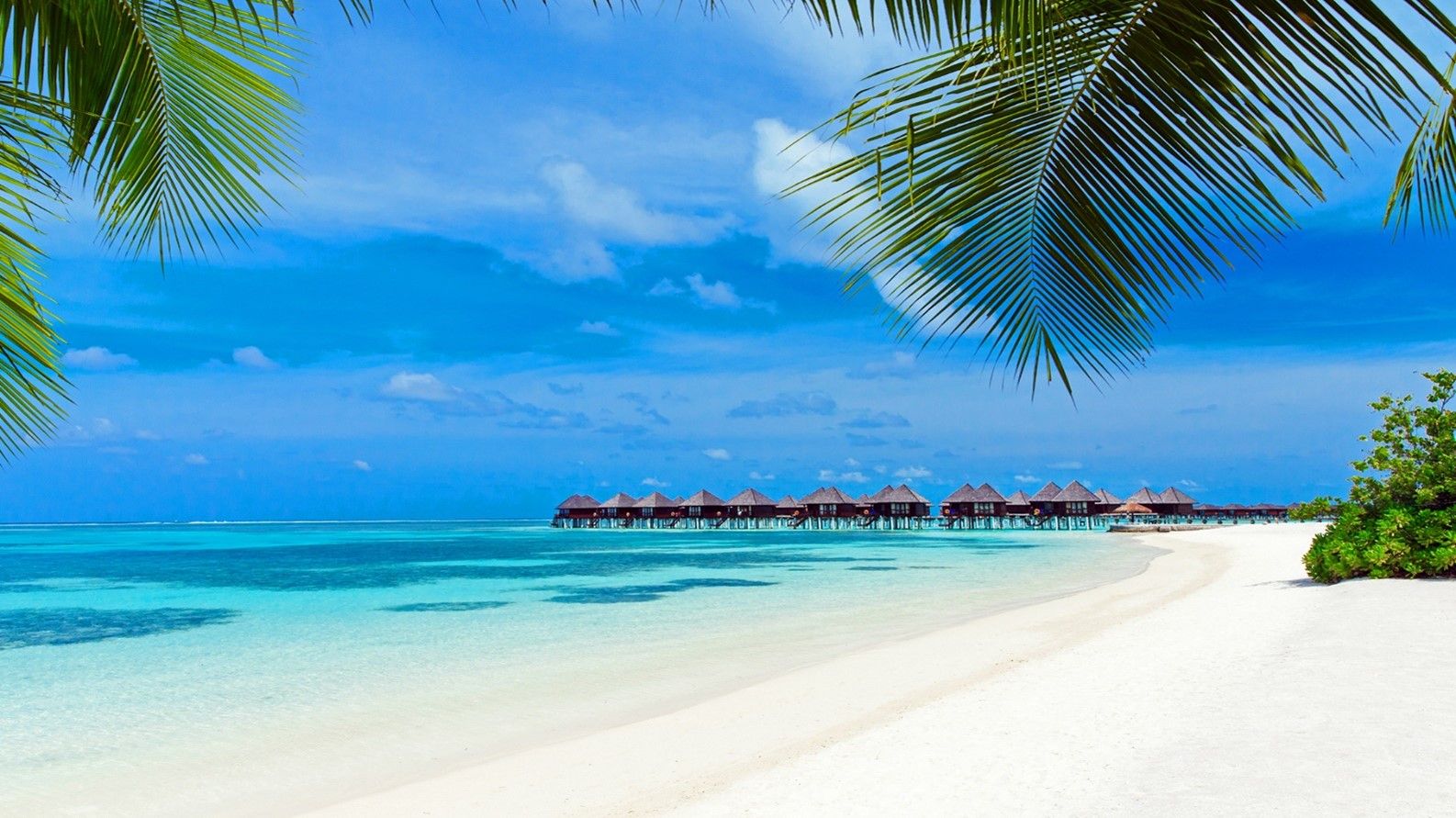 Sejur plaja Maldive, 10 zile - 13 iulie 2022