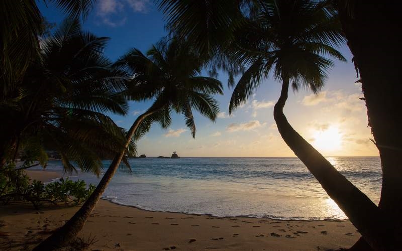 Beachcomber Anse Soleil