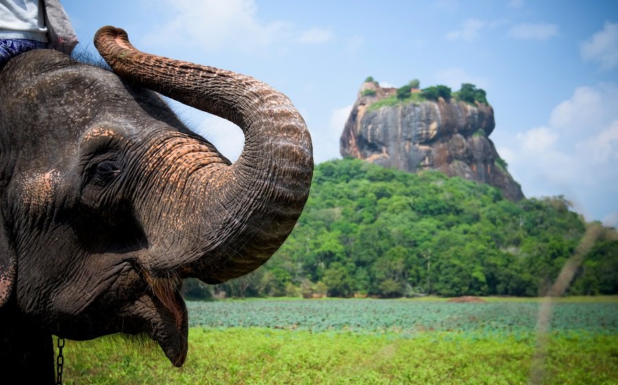 Sri Lanka 29.11.2021 - O destinatie tropicala fascinanta
