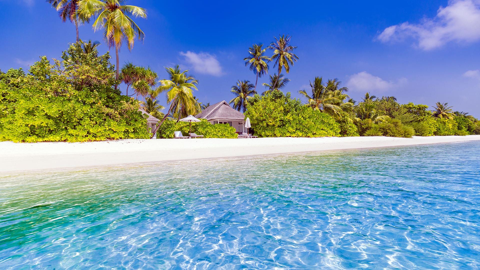 Sejur plaja Luxury All Inclusive Maldive 9 zile, cu Razvan Pascu - ianuarie 2022