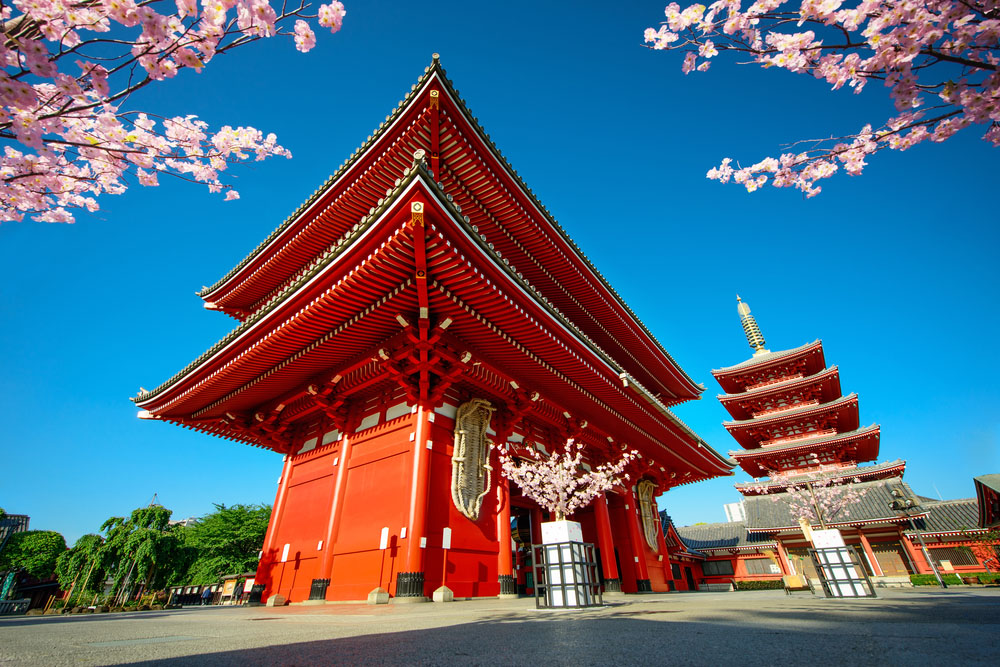 Japonia Festivalul Ciresilor in Floare 2023