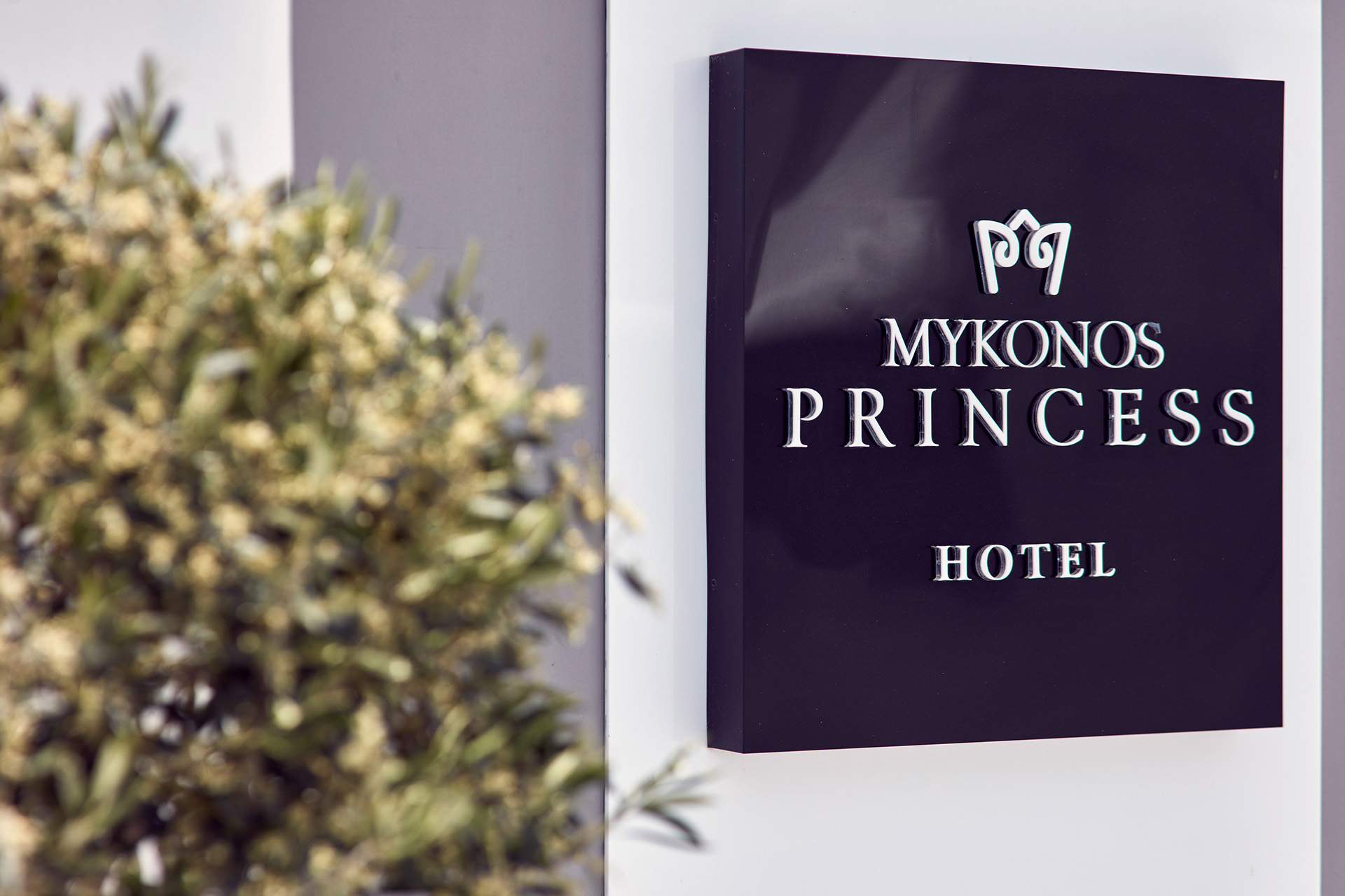 MYKONOS PRINCESS HOTEL